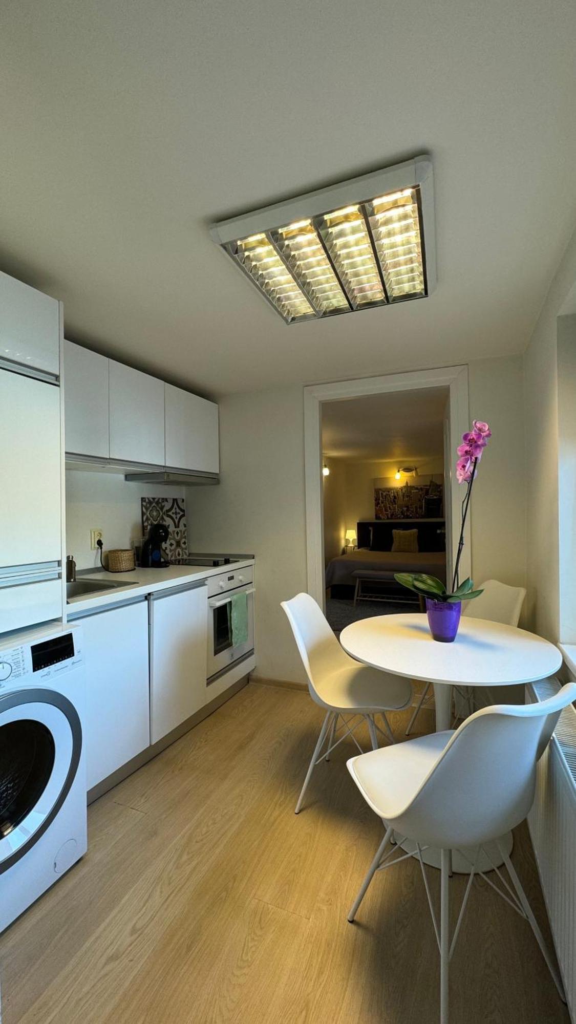 Elite Residence Timişoara Exterior foto